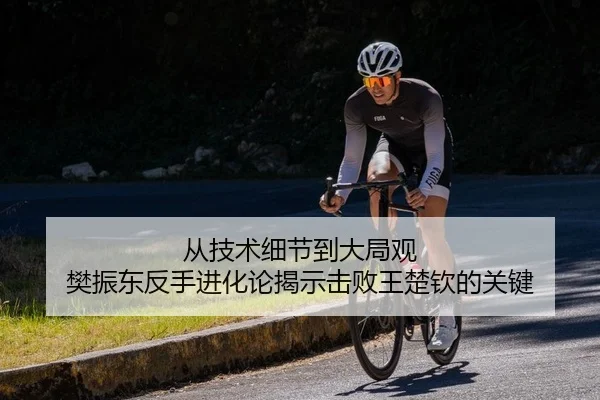 从技术细节到大局观 樊振东反手进化论揭示击败王楚钦的关键